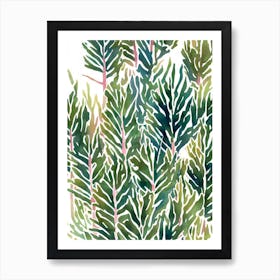 Acropora Tenuis 3 Vintage Graphic Watercolour Art Print