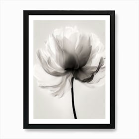 Black And White Flower 2 Art Print