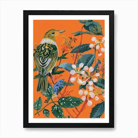 Spring Birds Baldpate 1 Art Print