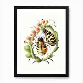 Larva Bees 4 Vintage Art Print