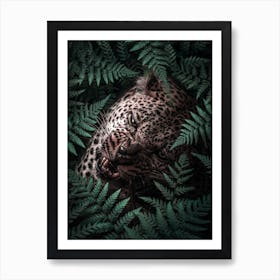 Leopard In Ferns Poster