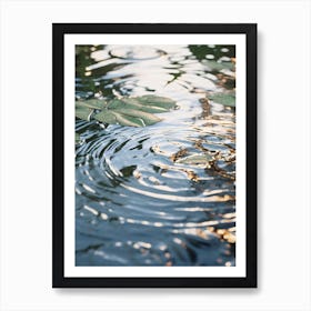 Reflection In Water Art Print