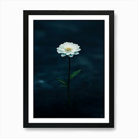 Single Flower In Water Art Print