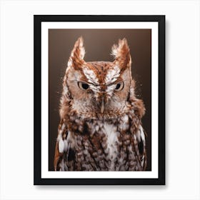 Warm Brown Screech Owl Art Print