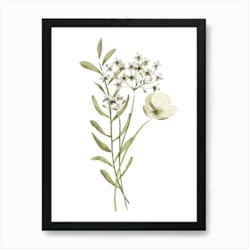 White Flowers 1 Art Print