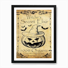 Witch Secret Elixir Art Print