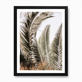 Palm Love Art Print