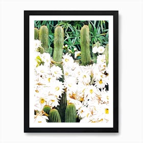 Cactus And Bloom Art Print