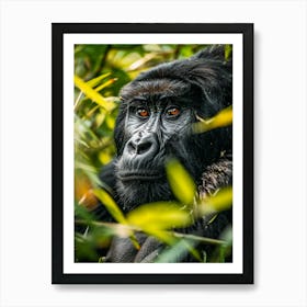 Rwanda Mountain Gorilla Art Print