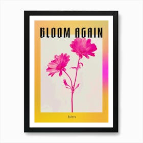 Hot Pink Asters 2 Poster Art Print