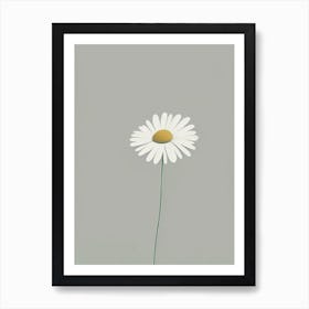 Shasta Daisy Wildflower Simplicity Art Print