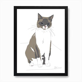 Snowshoe Cat Drawing Art Print