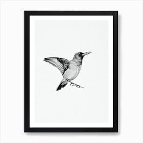 Raven B&W Pencil Drawing 1 Bird Art Print