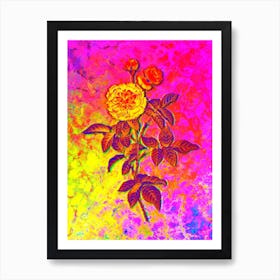 One Hundred Leaved Rose Botanical in Acid Neon Pink Green and Blue n.0178 Art Print