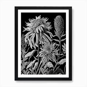 Bee Balm Wildflower Linocut 1 Art Print