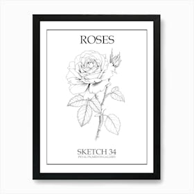 Roses Sketch 34 Poster Art Print