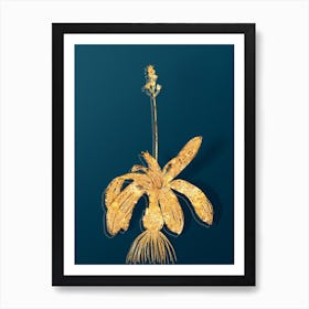 Vintage Scilla Lilio Hyacinthus Botanical in Gold on Teal Blue n.0063 Art Print