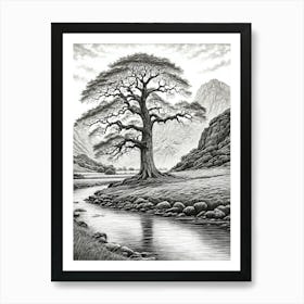 highly detailed pencil sketch of oak tree next to stream, mountain background 8 Art Print