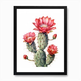 Melocactus Cactus Watercolour Drawing 2 Art Print