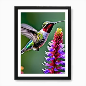 Male Ruby Throated Hummingbird-Reimagined 21 Art Print