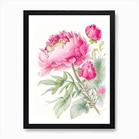 Peony Floral Quentin Blake Inspired Illustration 5 Flower Art Print