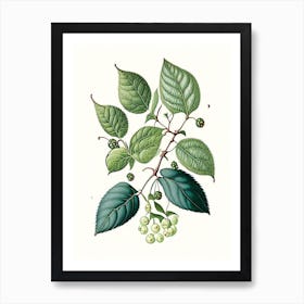 Snowberry Leaf Vintage Botanical 5 Art Print