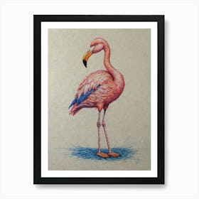 Flamingo 29 Art Print