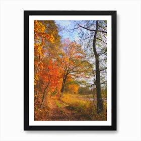 Autumn Trail trees Art Print