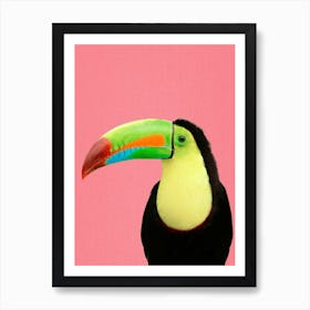 Toucan Bird In Pink Art Print