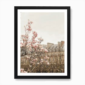 Paris Magnolia 2 Art Print