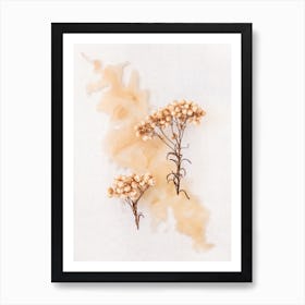 Delicate Peachy Florals Art Print