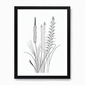 Horsetail Herb William Morris Inspired Line Drawing 2 Art Print