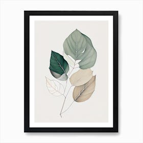 Eucalyptus Leaf Contemporary Art Print