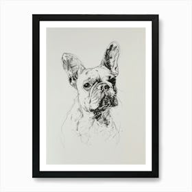 French Bulldog Line Sketch 2 Art Print