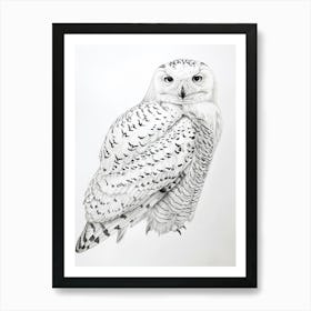 Snowy Owl Marker Drawing 1 Art Print