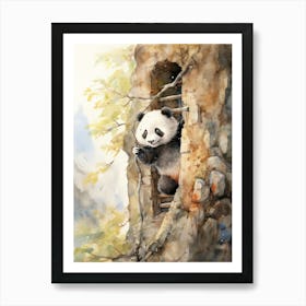 Panda Art Rock Climbing Watercolour 4 Art Print