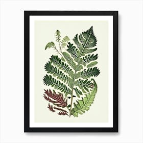 Grape Fern Wildflower Vintage Botanical 1 Poster