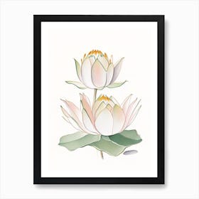 Double Lotus Pencil Illustration 5 Art Print