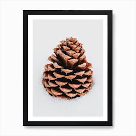 Snowy Pine Cone Art Print