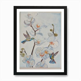 Hummingbirds And Orchids Art Print