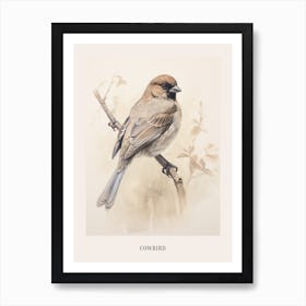 Vintage Bird Drawing Cowbird 2 Poster Art Print