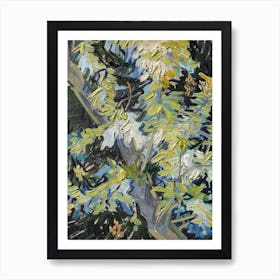 Blossoming Acacia Branches, Van Gogh Art Print