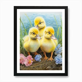 Ducks By The River Pencil Illustration 1 Art Print