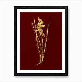 Vintage Drooping Star of Bethlehem Botanical in Gold on Red n.0330 Art Print