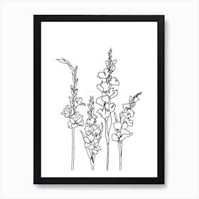 Gladiolus Drawing Art Print