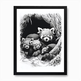 Red Panda Family Sleeping In A Cave Ink Illustration 2 Art Print