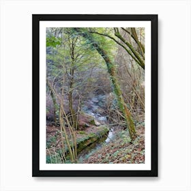 Serene Forest Pathway with Stream in Orobie Alps. This image captures a tranquil forest scene with a small stream flowing through it. The forest is dense with trees, some of which are covered in moss and ivy. The ground is littered with fallen leaves, and the stream is bordered by rocks and vegetation. The overall atmosphere is peaceful and serene, making it a perfect representation of untouched natural beauty 1 Art Print