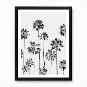 Black & White Palms 3 Art Print