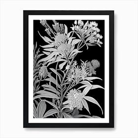 Butterfly Weed Wildflower Linocut Art Print