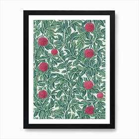 Marionberry Vintage Botanical Fruit Art Print